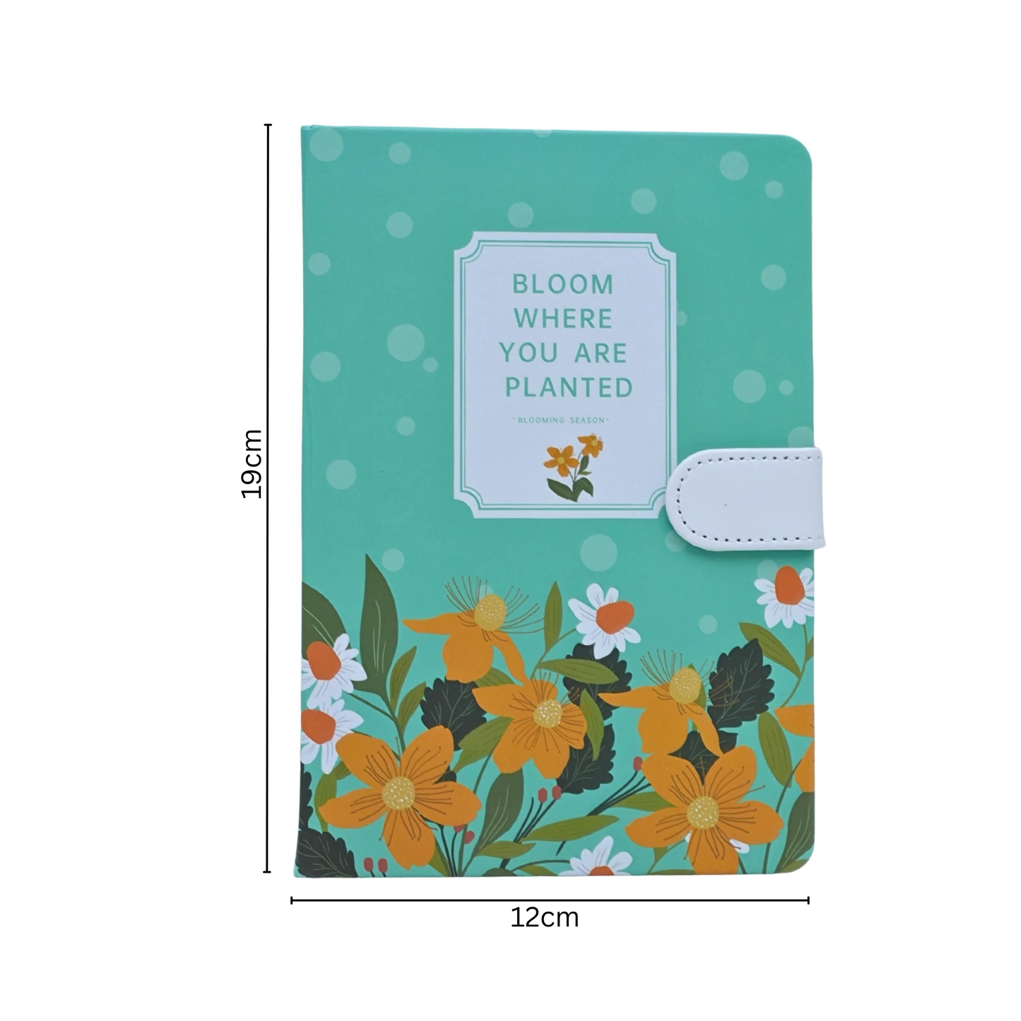 Colorful Aesthetic Notebook Diaries