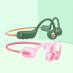 Earphones
