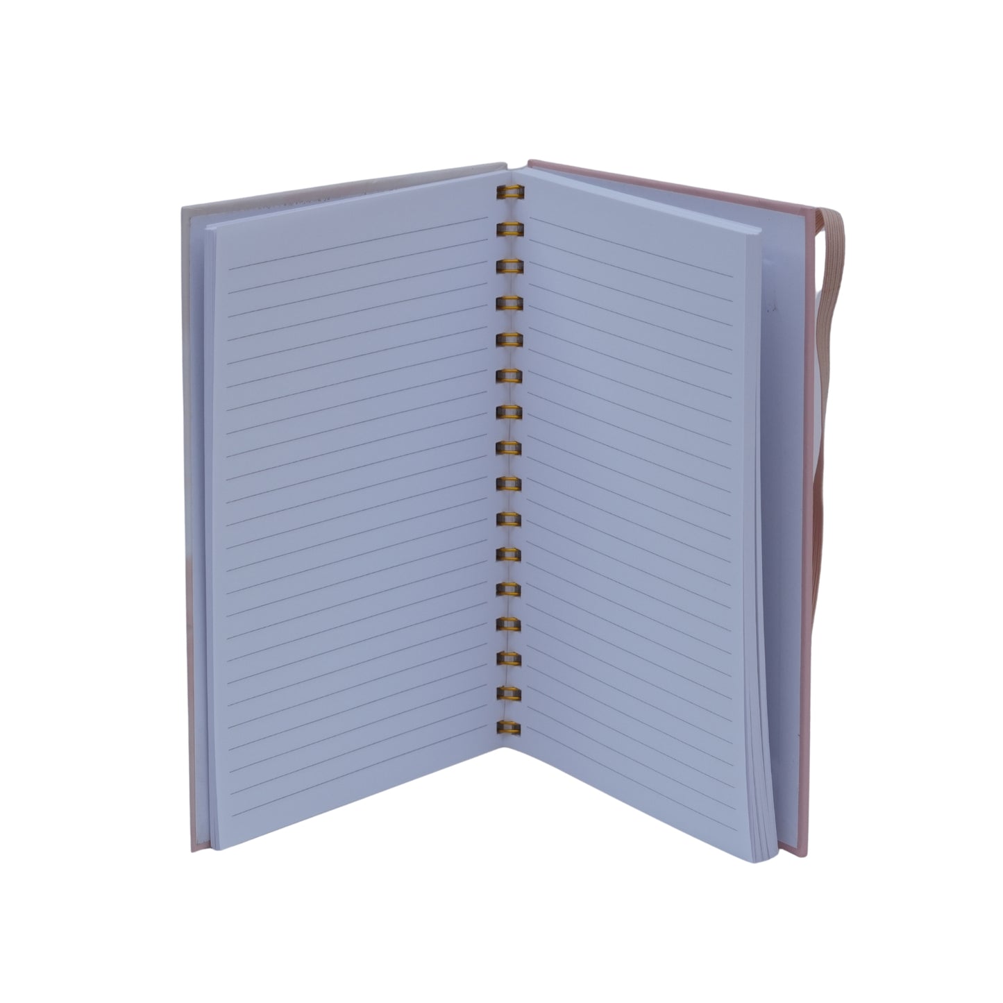 Gifting diary for girls friendship group