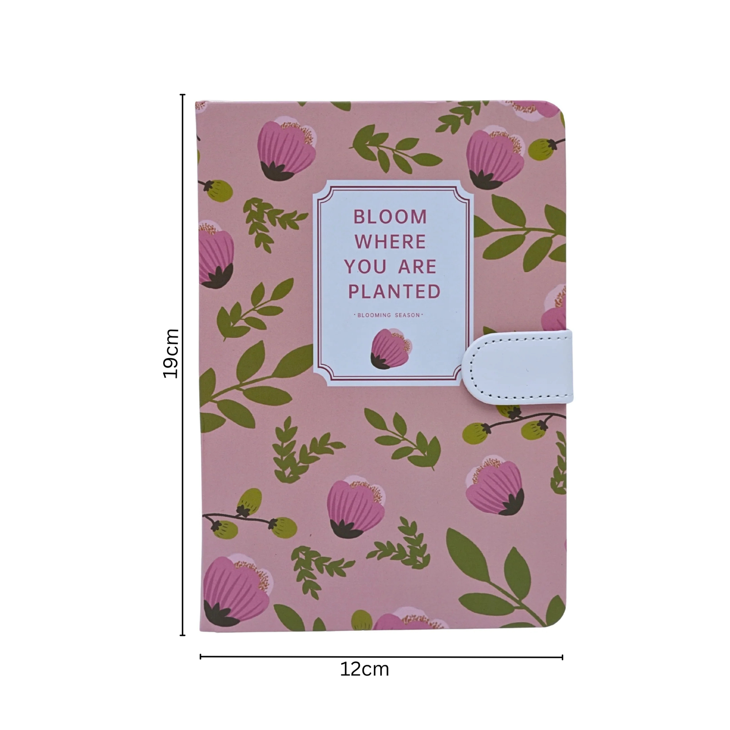 Colorful Aesthetic Notebook Diaries