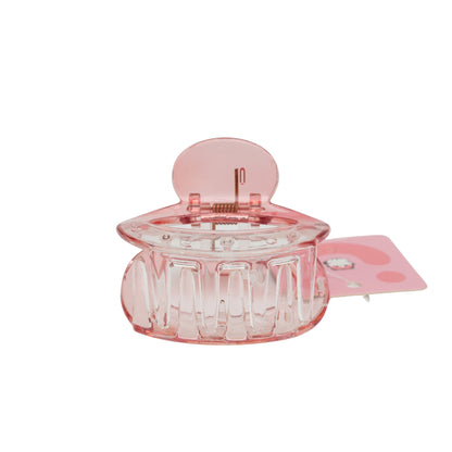 Fashionable Daily Use clutcher & Clips For Girls ( set of 6 )