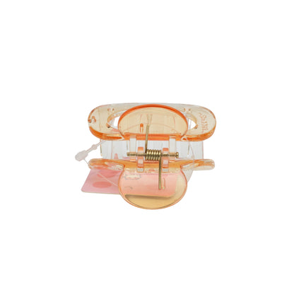 Fashionable Daily Use clutcher & Clips For Girls ( set of 6 )