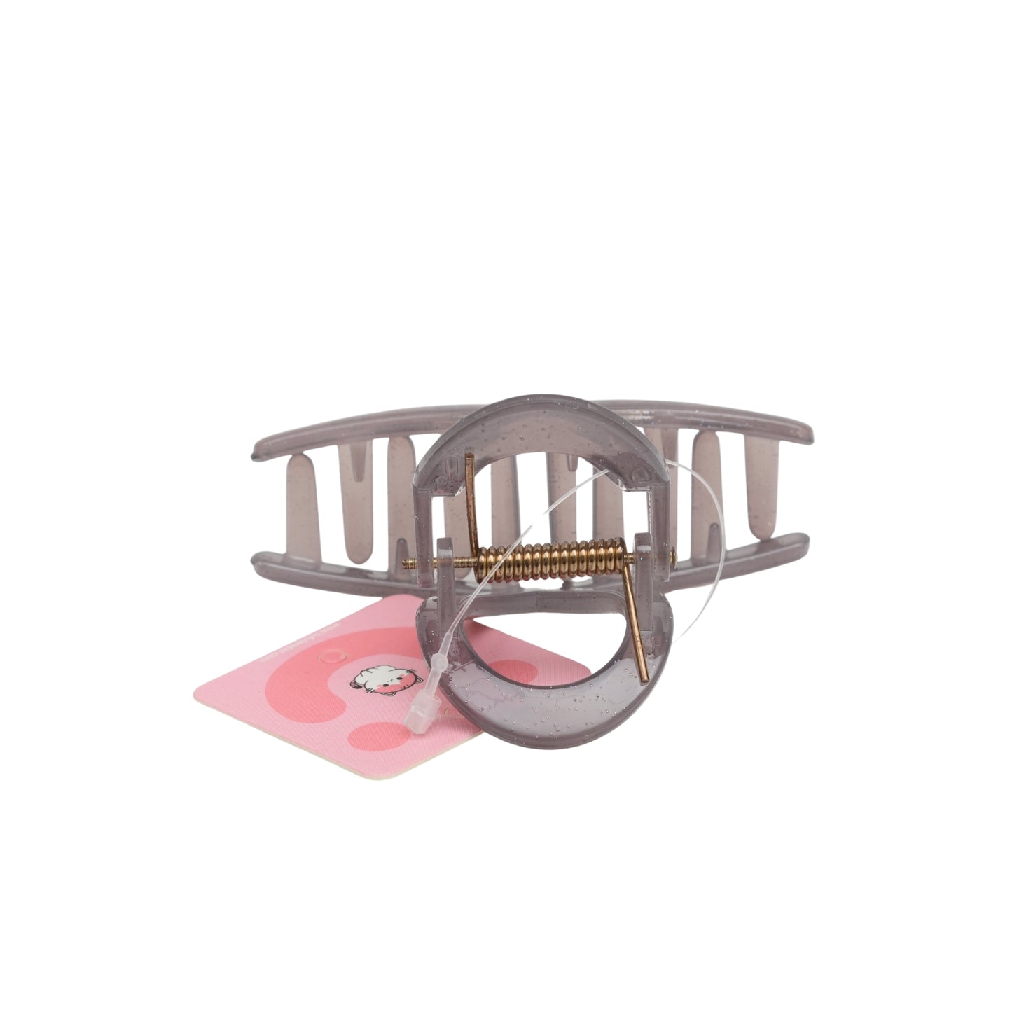 Fashionable Daily Use clutcher & Clips For Girls ( set of 6 )