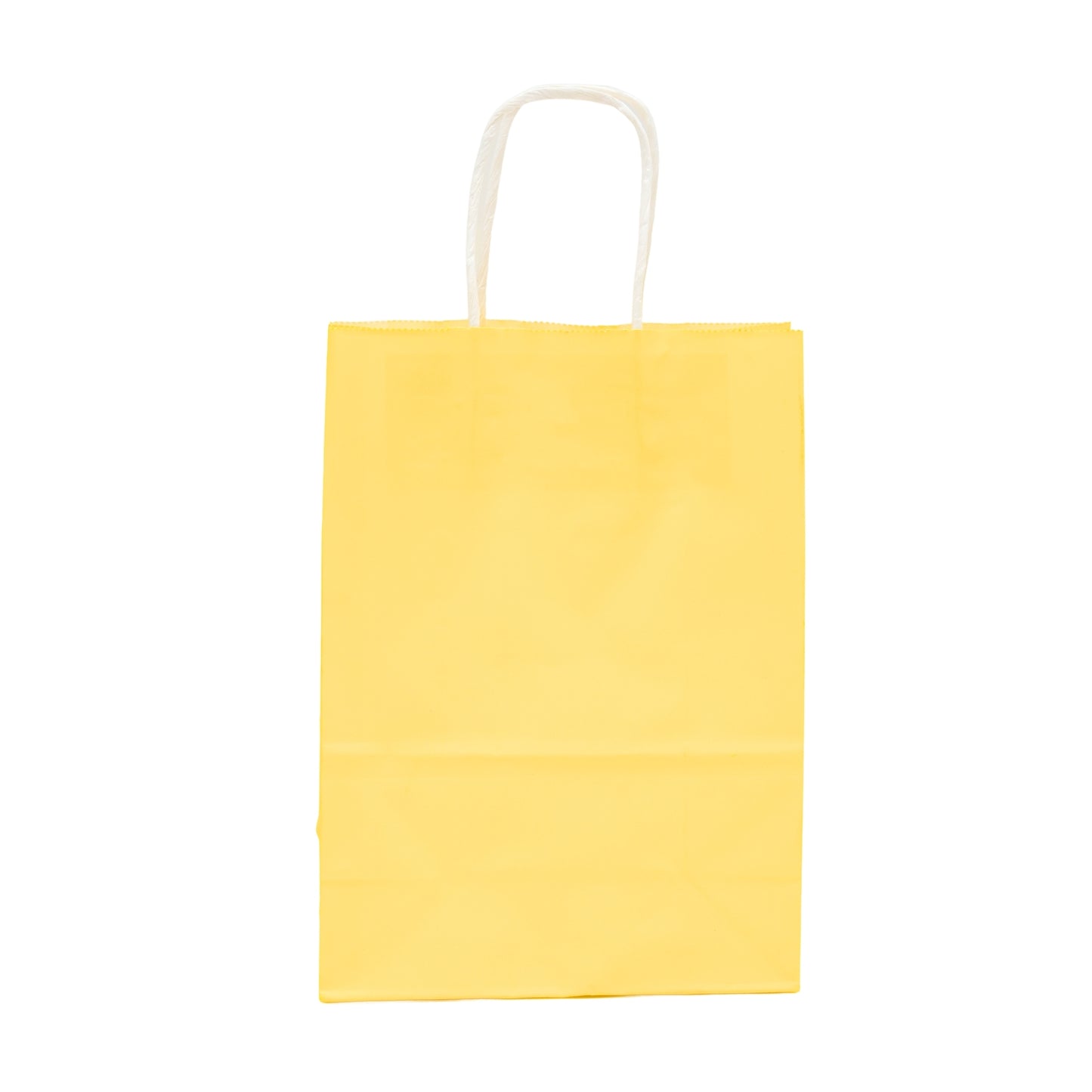 Daily Routine Carry Bags ( Pack of 8 )