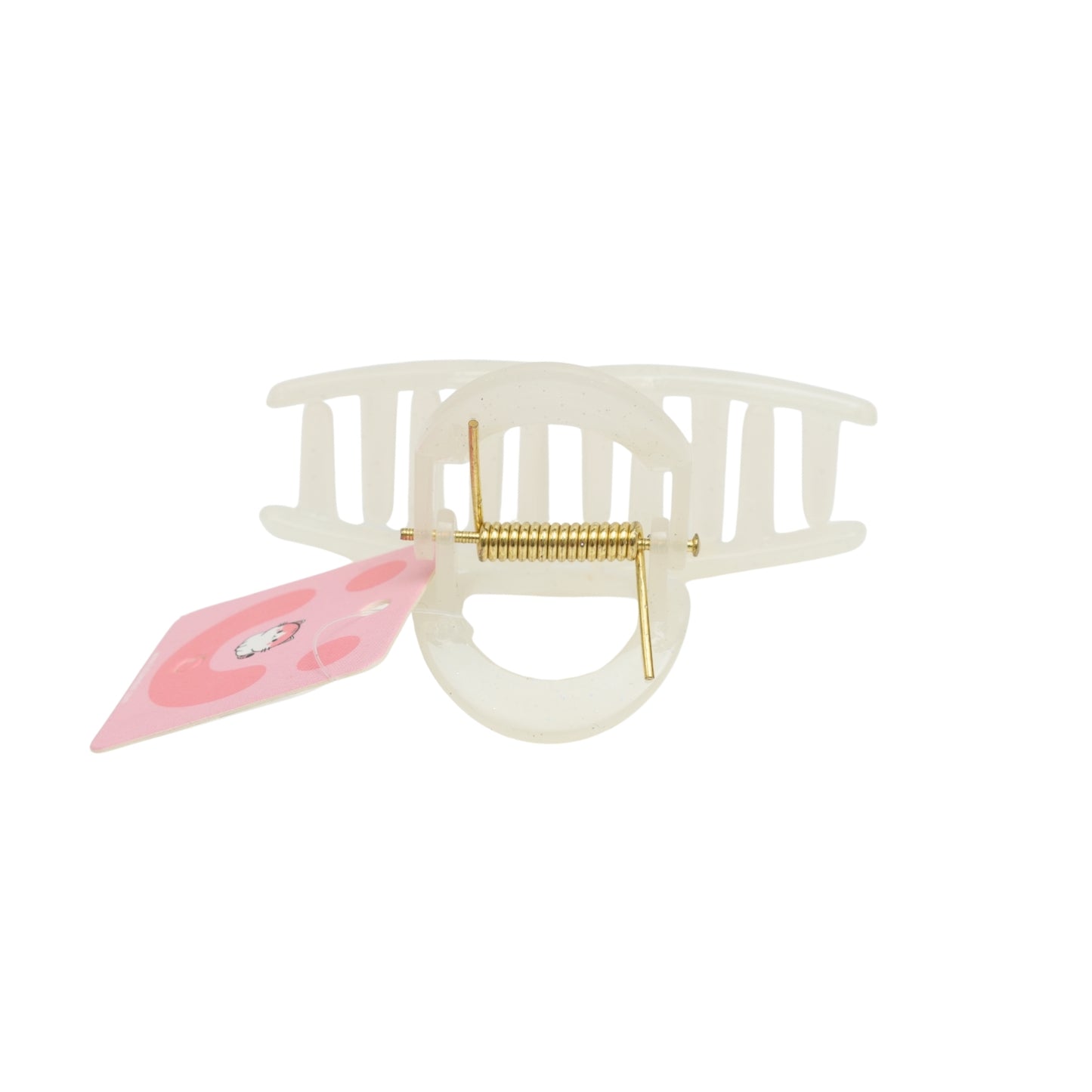 Fashionable Daily Use clutcher & Clips For Girls ( set of 6 )