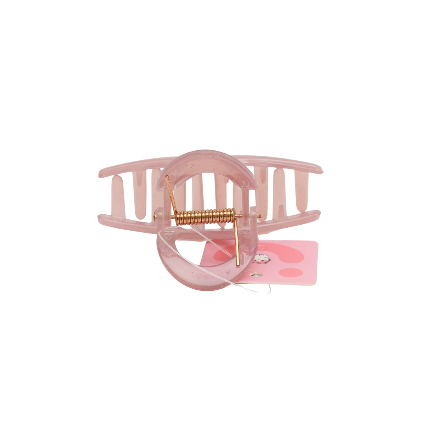 Fashionable Daily Use clutcher & Clips For Girls ( set of 6 )