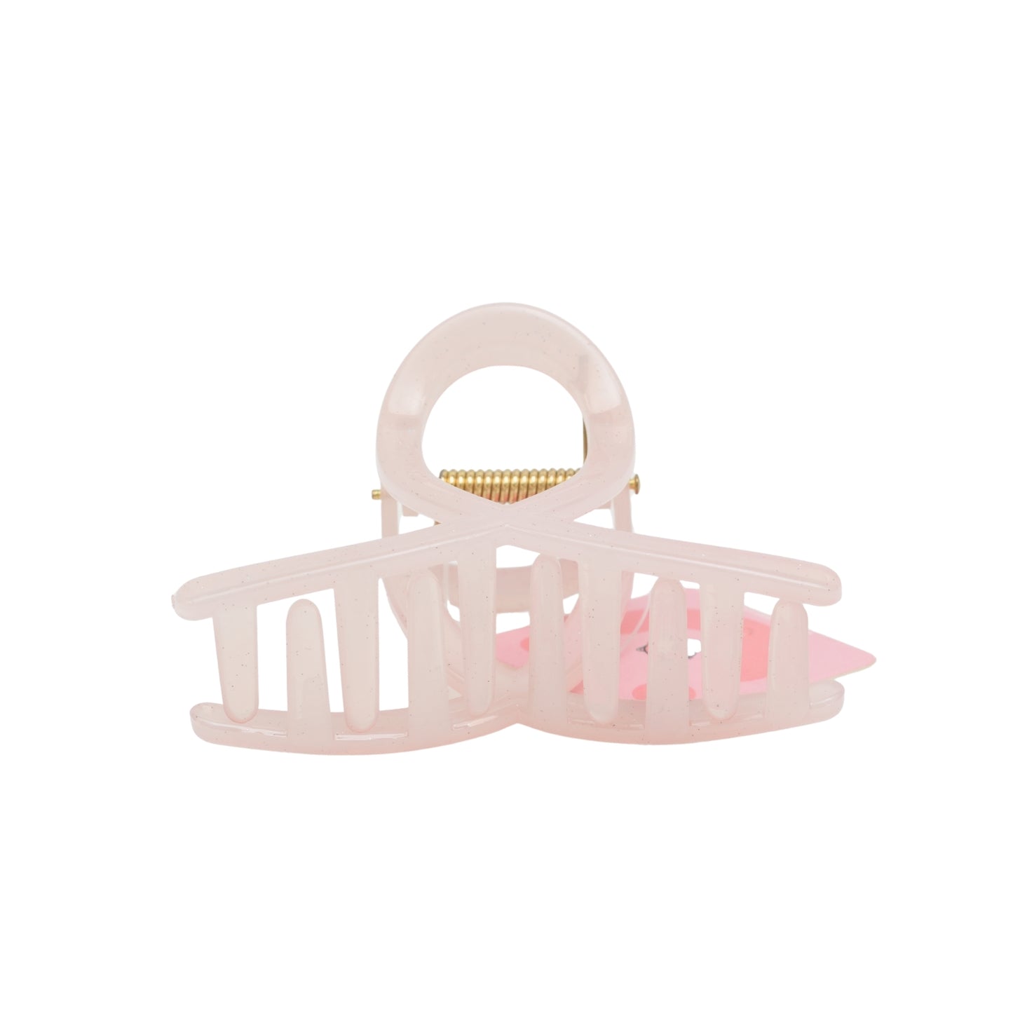 Fashionable Daily Use clutcher & Clips For Girls ( set of 6 )