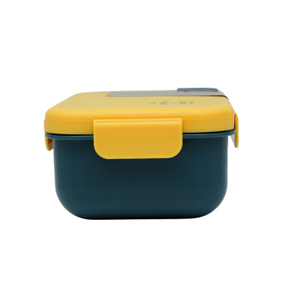 Rectangular lunch box