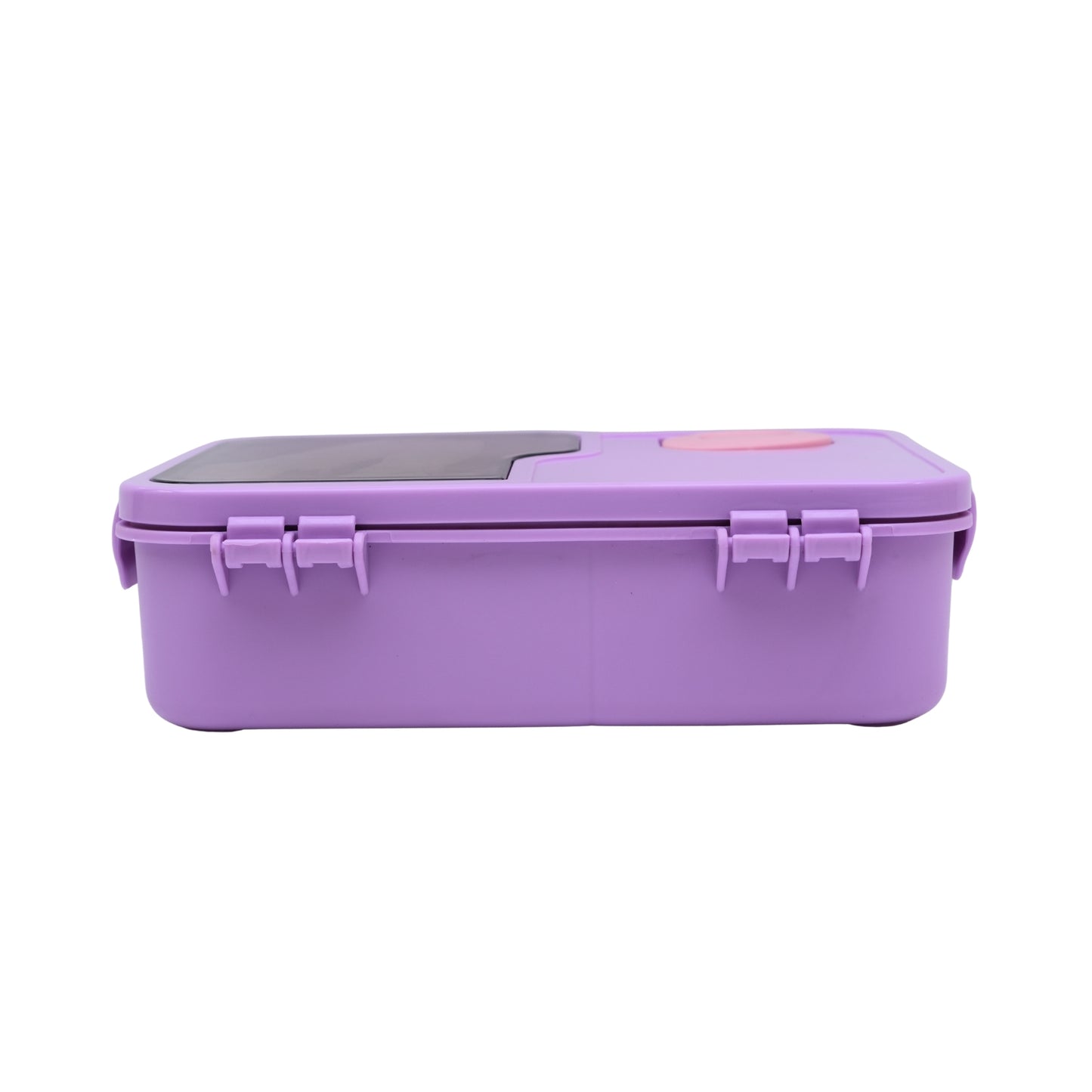 Pastel lunch box with spoon and transparency