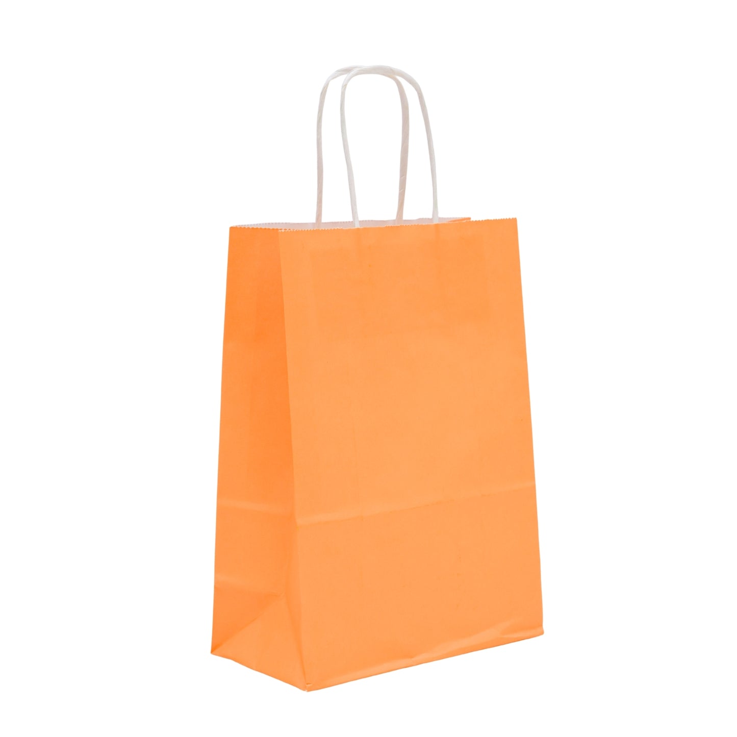 Daily Routine Carry Bags ( Pack of 8 )