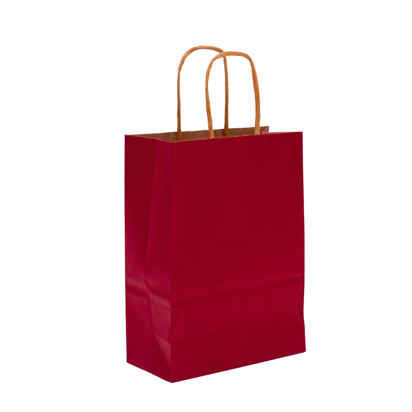 Daily Routine Carry Bags ( Pack of 8 )