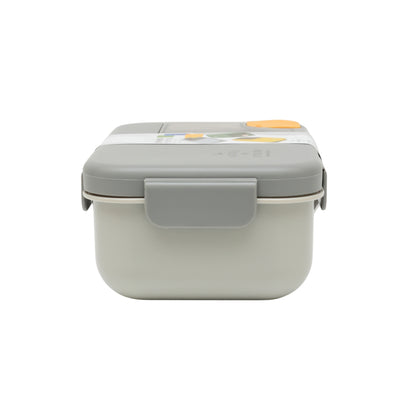 Rectangular lunch box