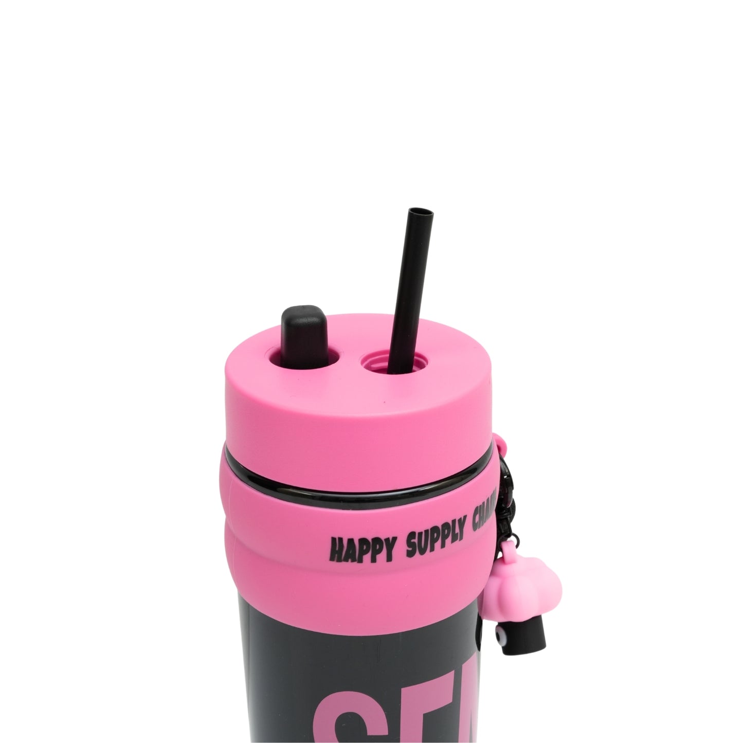 Sleek Aesthetic High Quality Sipper & Water Bottle