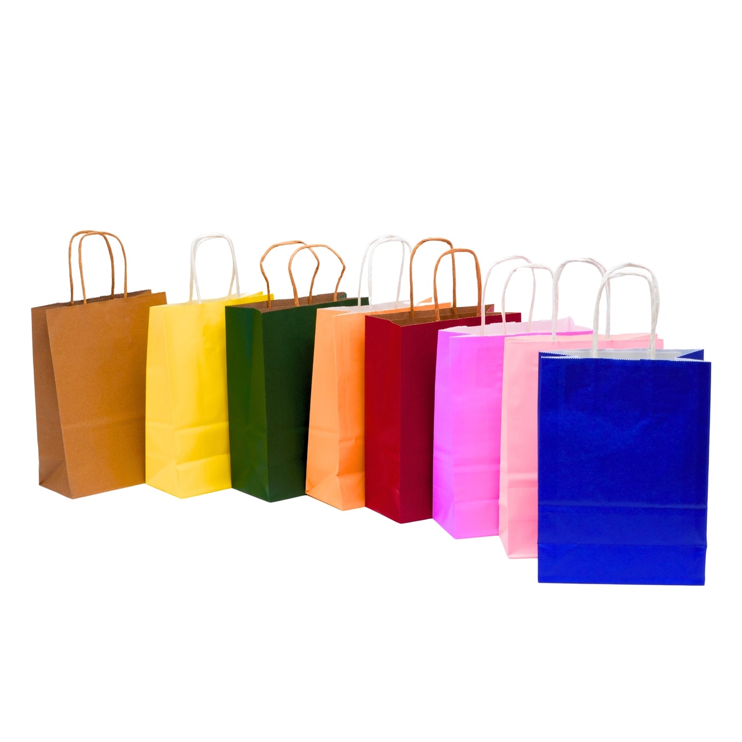 Daily Routine Carry Bags ( Pack of 8 )