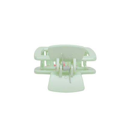 Fashionable Daily Use clutcher & Clips For Girls ( set of 6 )