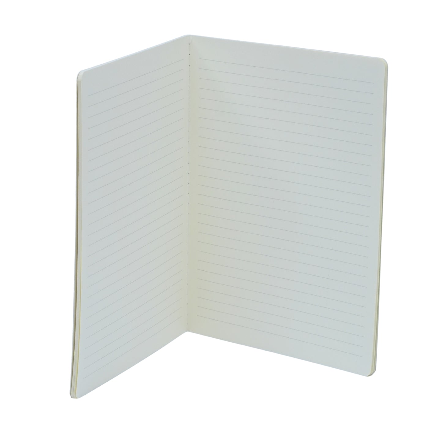 Notebook Diary for Athlete Enthusiasm