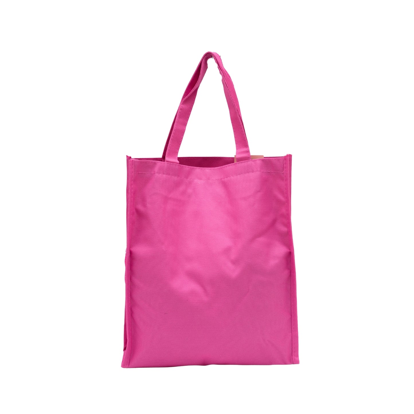 Vegetable/Grocery Bag
