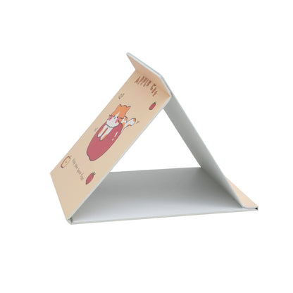 Anywhere carry mirrors