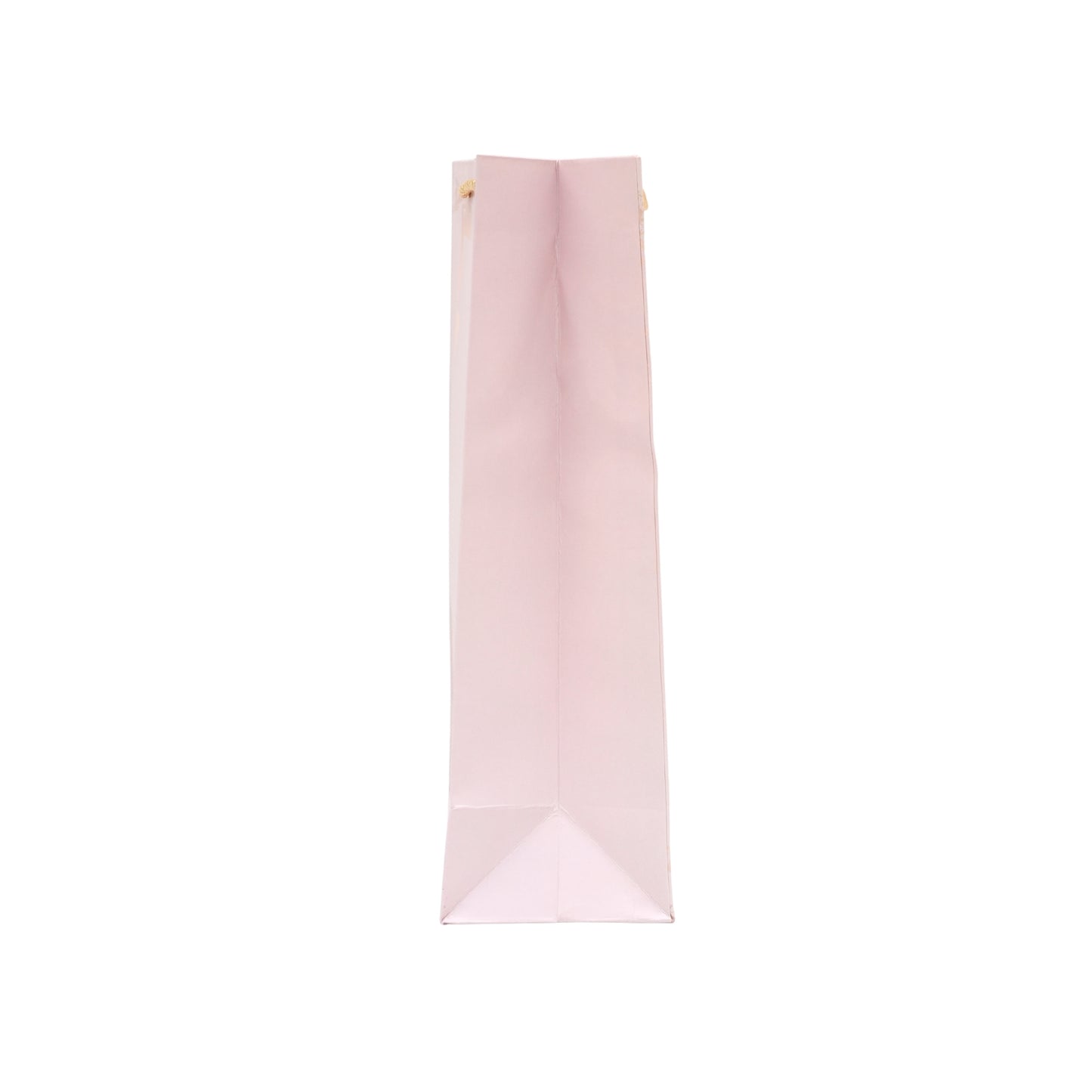 Cute Teddy Bear Fancy Gift Bags