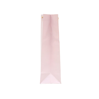 Cute Teddy Bear Fancy Gift Bags