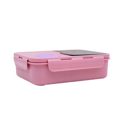 Pastel lunch box with spoon and transparency