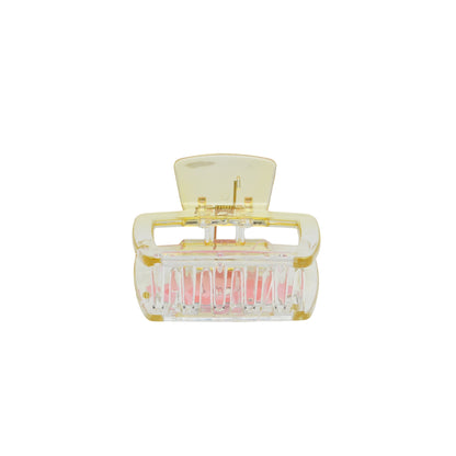 Fashionable Daily Use clutcher & Clips For Girls ( set of 6 )