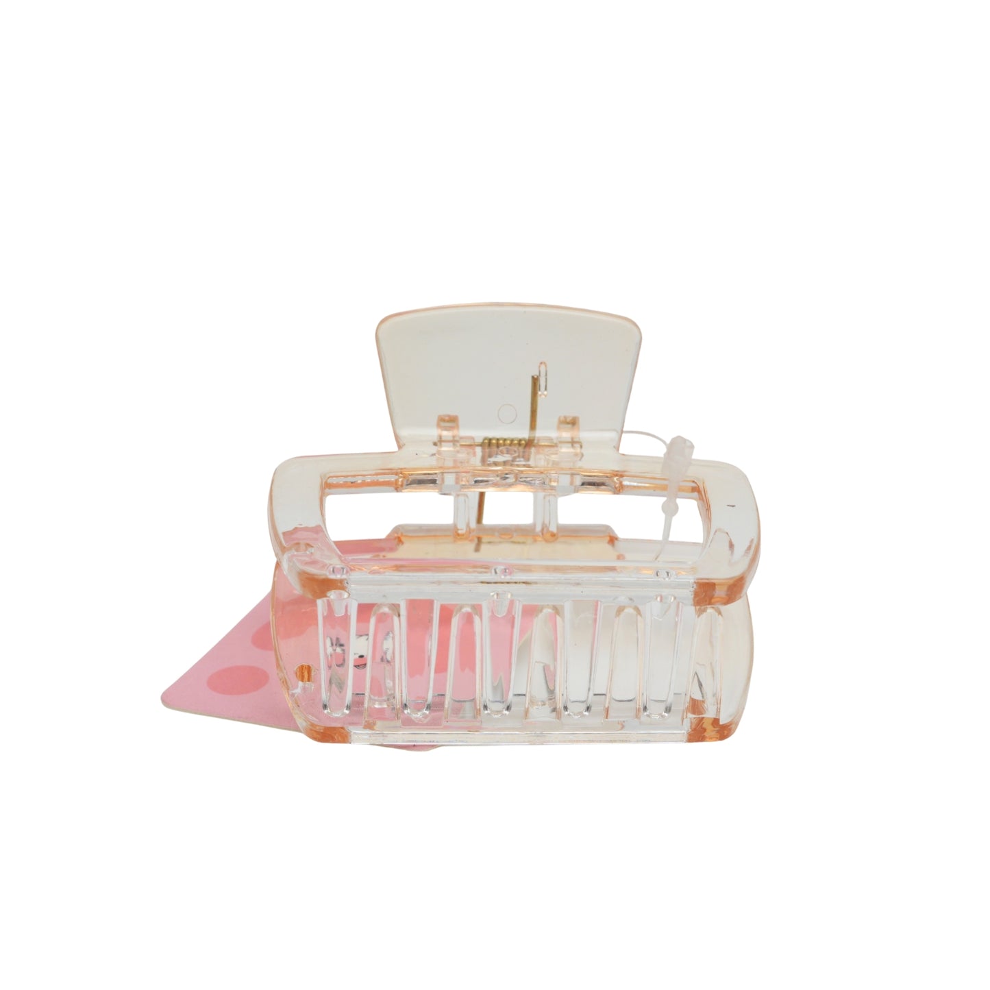 Fashionable Daily Use clutcher & Clips For Girls ( set of 6 )