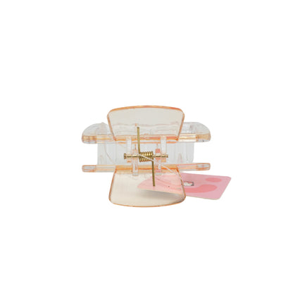 Fashionable Daily Use clutcher & Clips For Girls ( set of 6 )