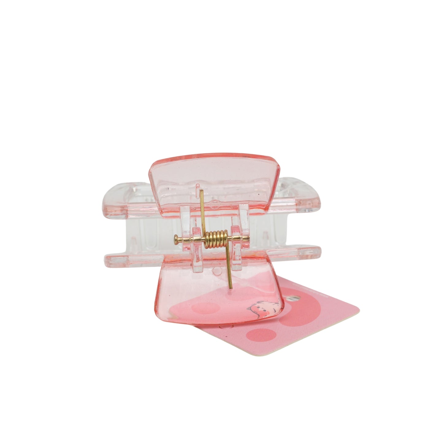 Fashionable Daily Use clutcher & Clips For Girls ( set of 6 )