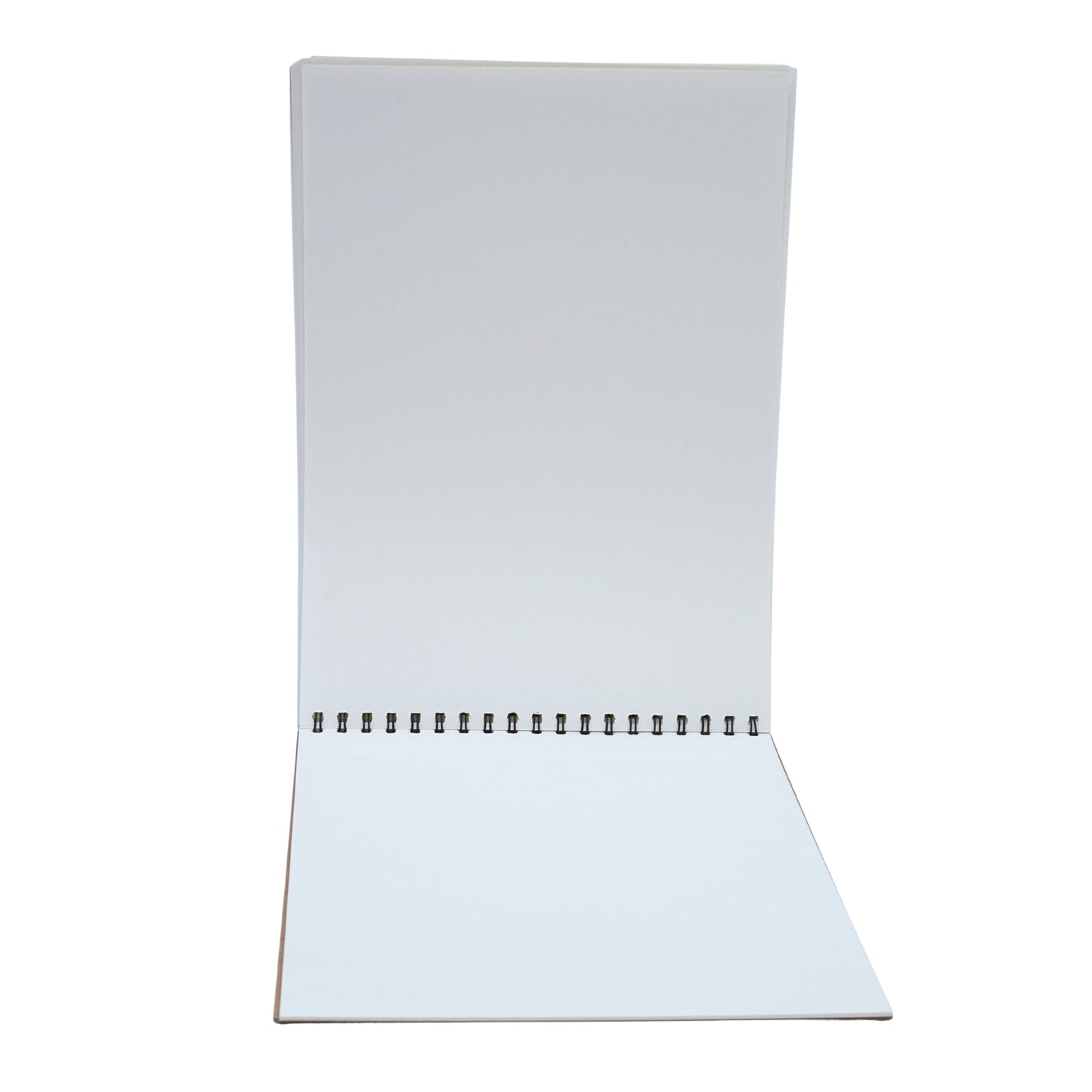 Diary style sketchbook for professionals & aesthetic (Random cover page)
