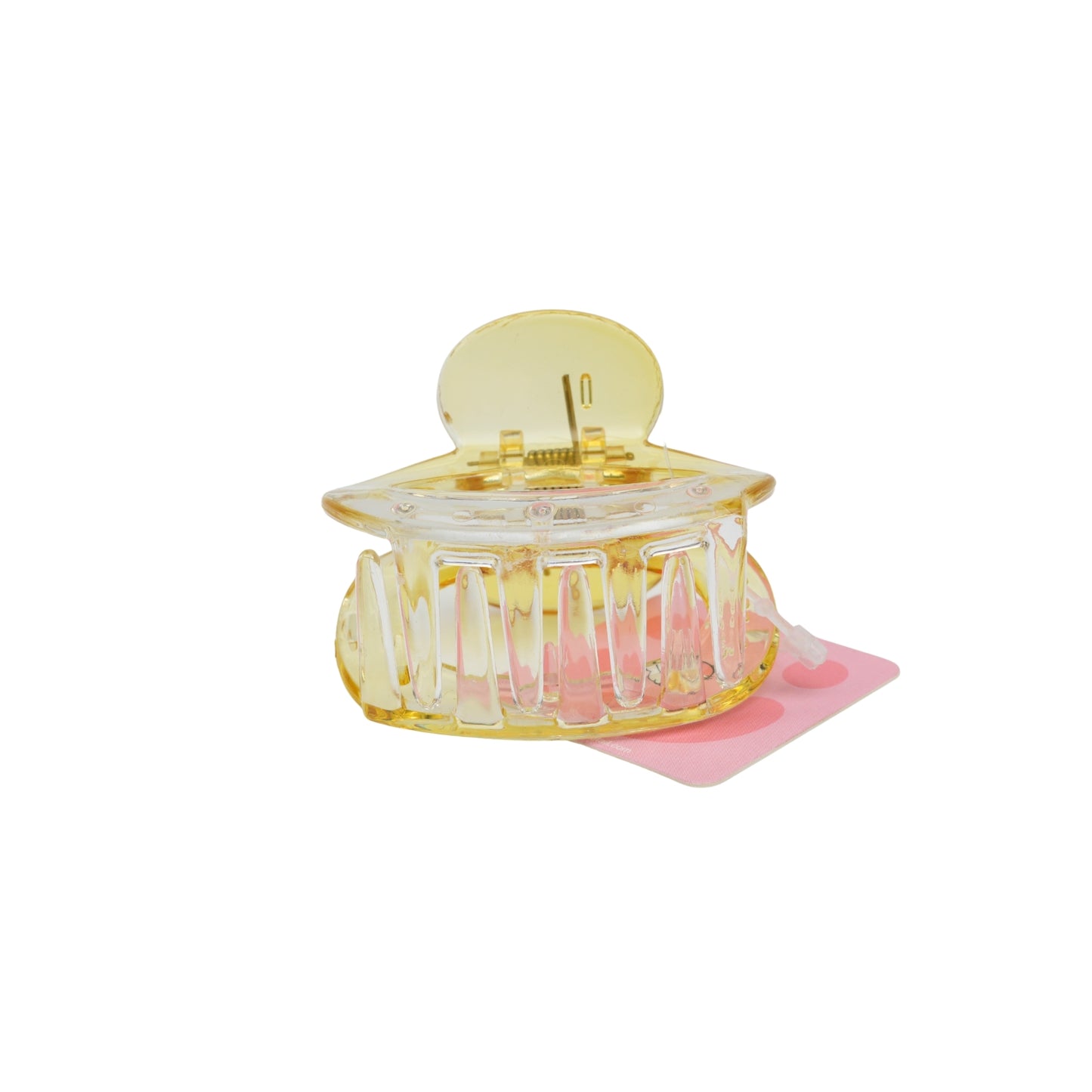 Fashionable Daily Use clutcher & Clips For Girls ( set of 6 )