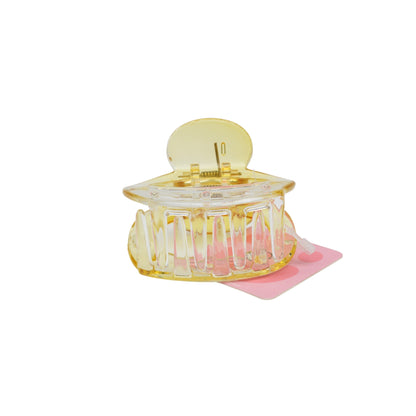 Fashionable Daily Use clutcher & Clips For Girls ( set of 6 )