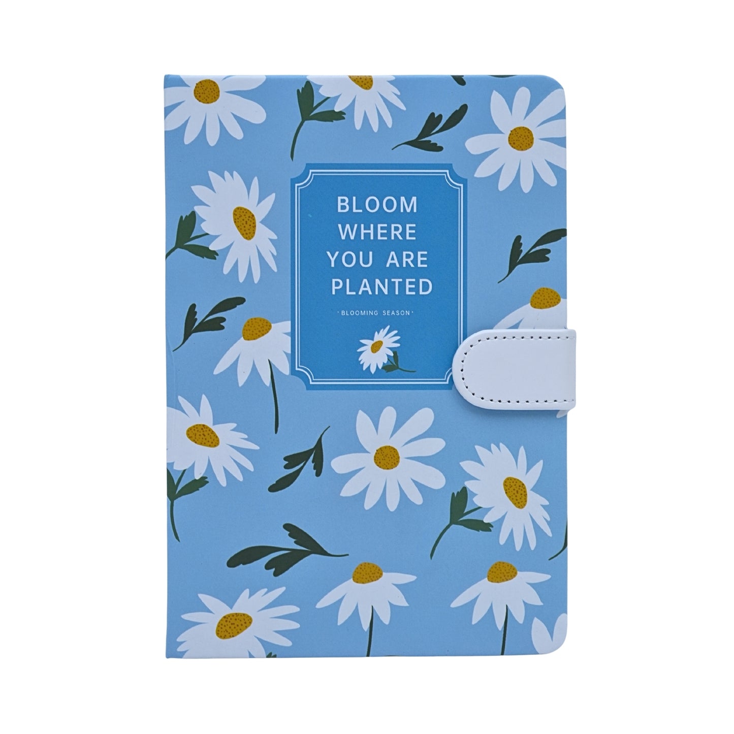 Colorful Aesthetic Notebook Diaries