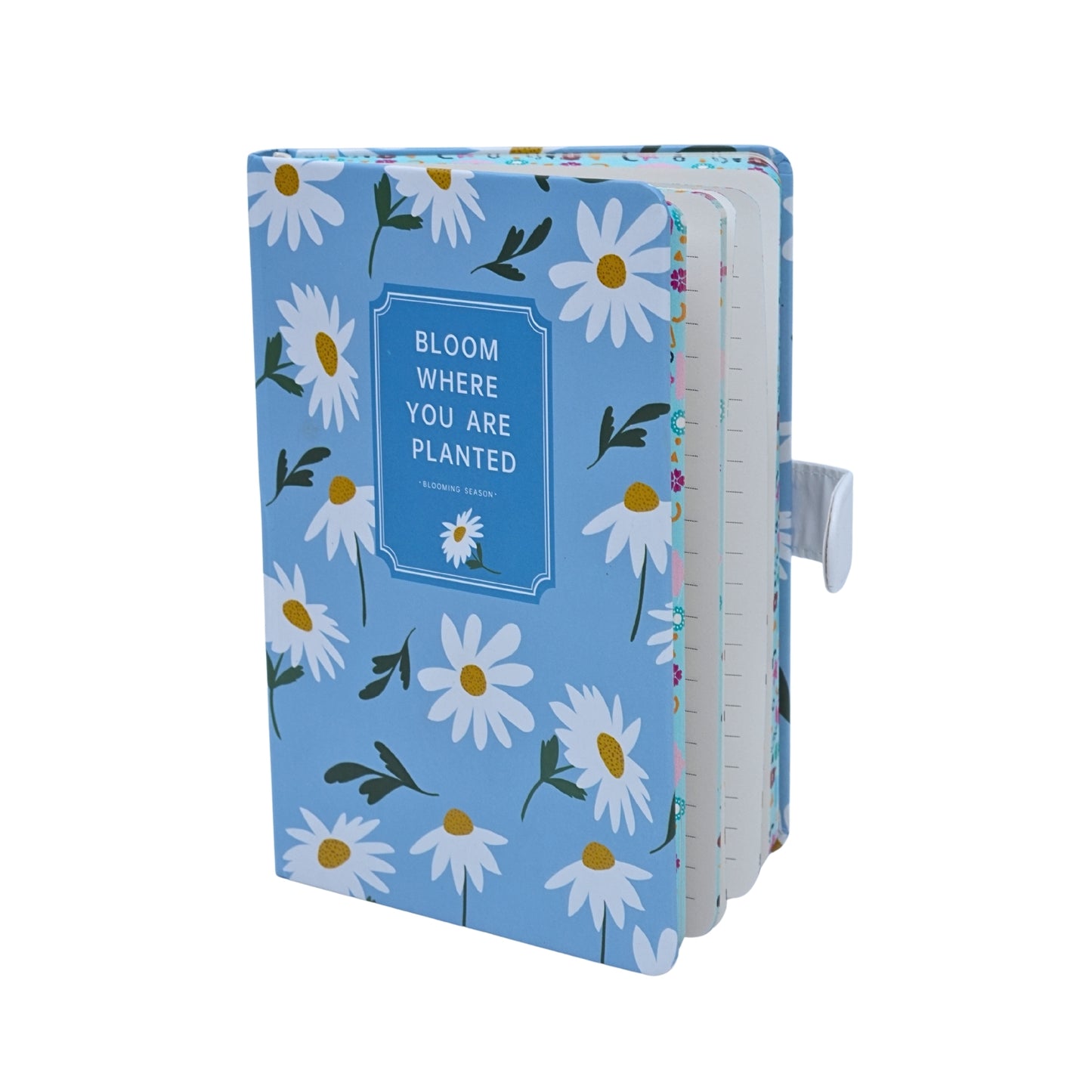 Colorful Aesthetic Notebook Diaries