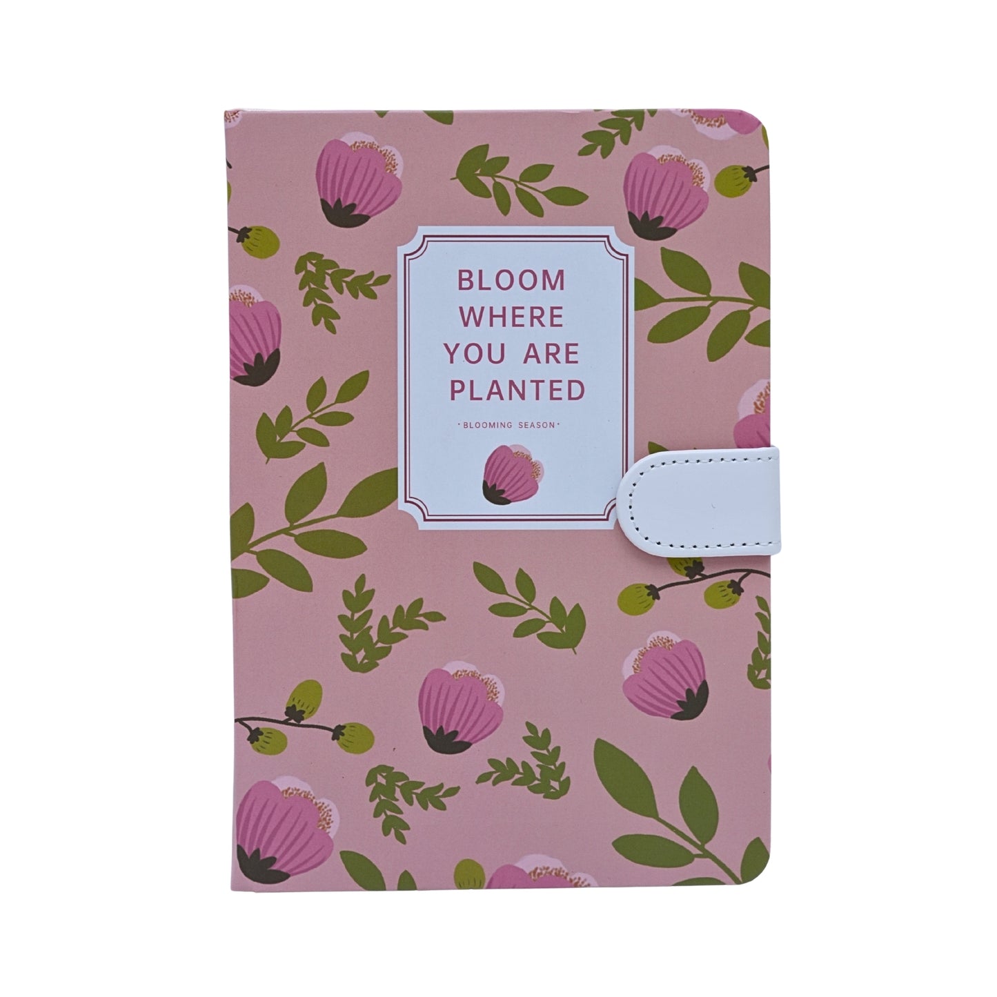 Colorful Aesthetic Notebook Diaries