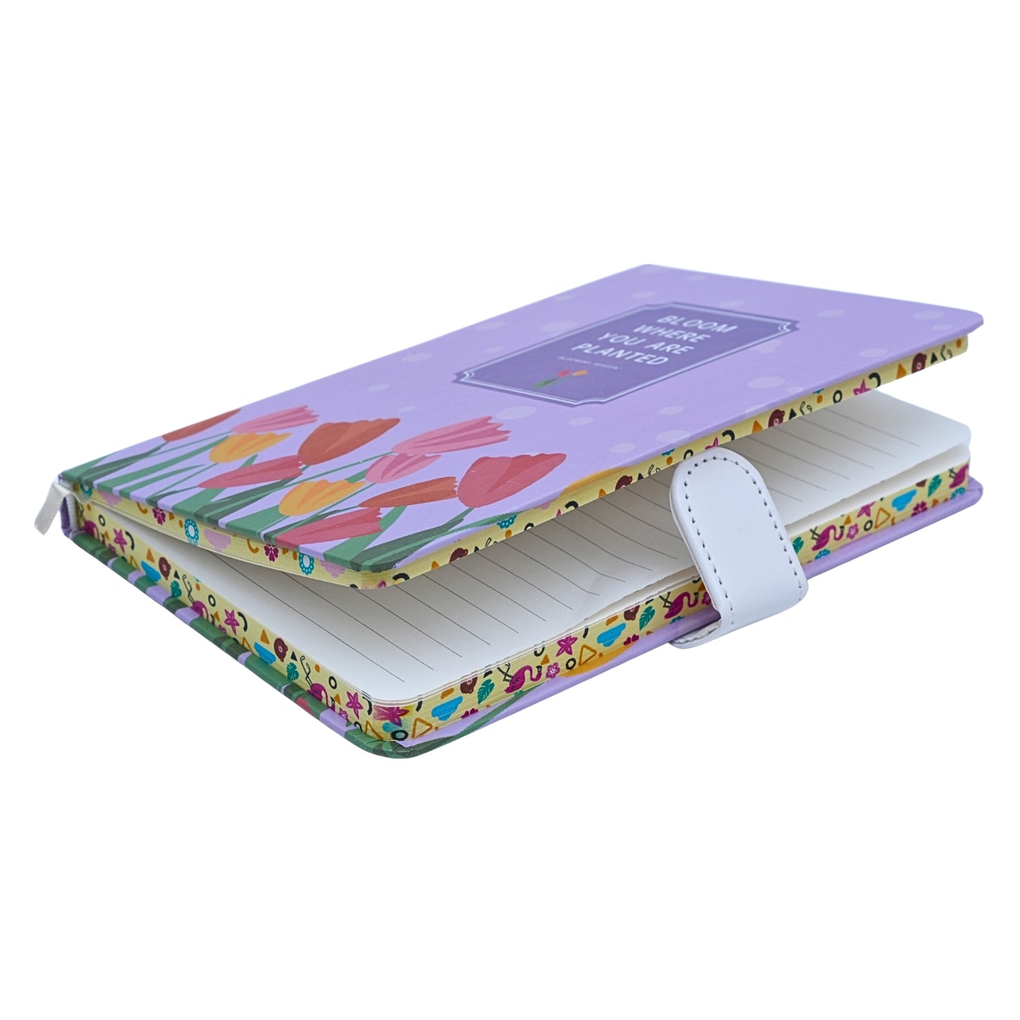 Colorful Aesthetic Notebook Diaries