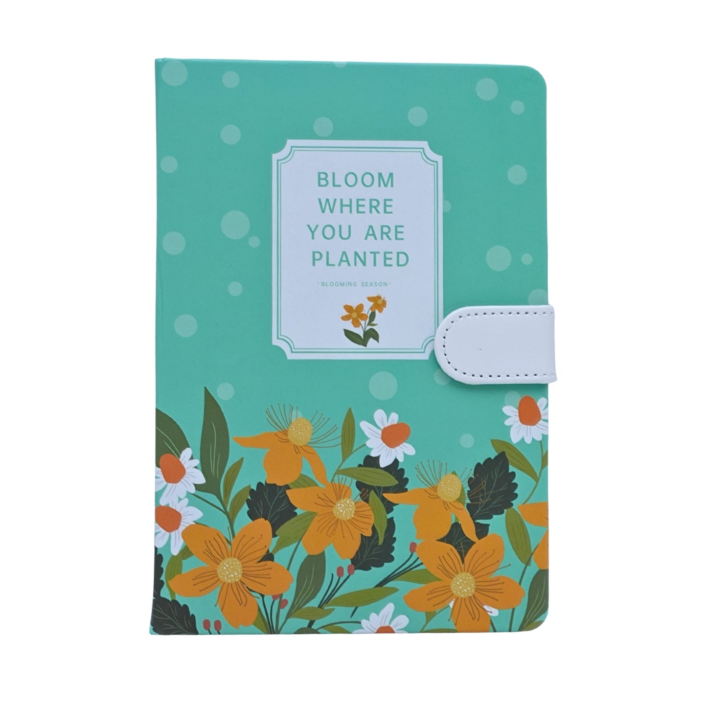 Colorful Aesthetic Notebook Diaries
