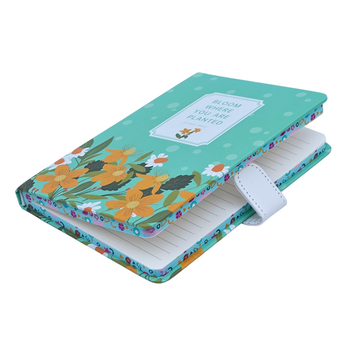 Colorful Aesthetic Notebook Diaries