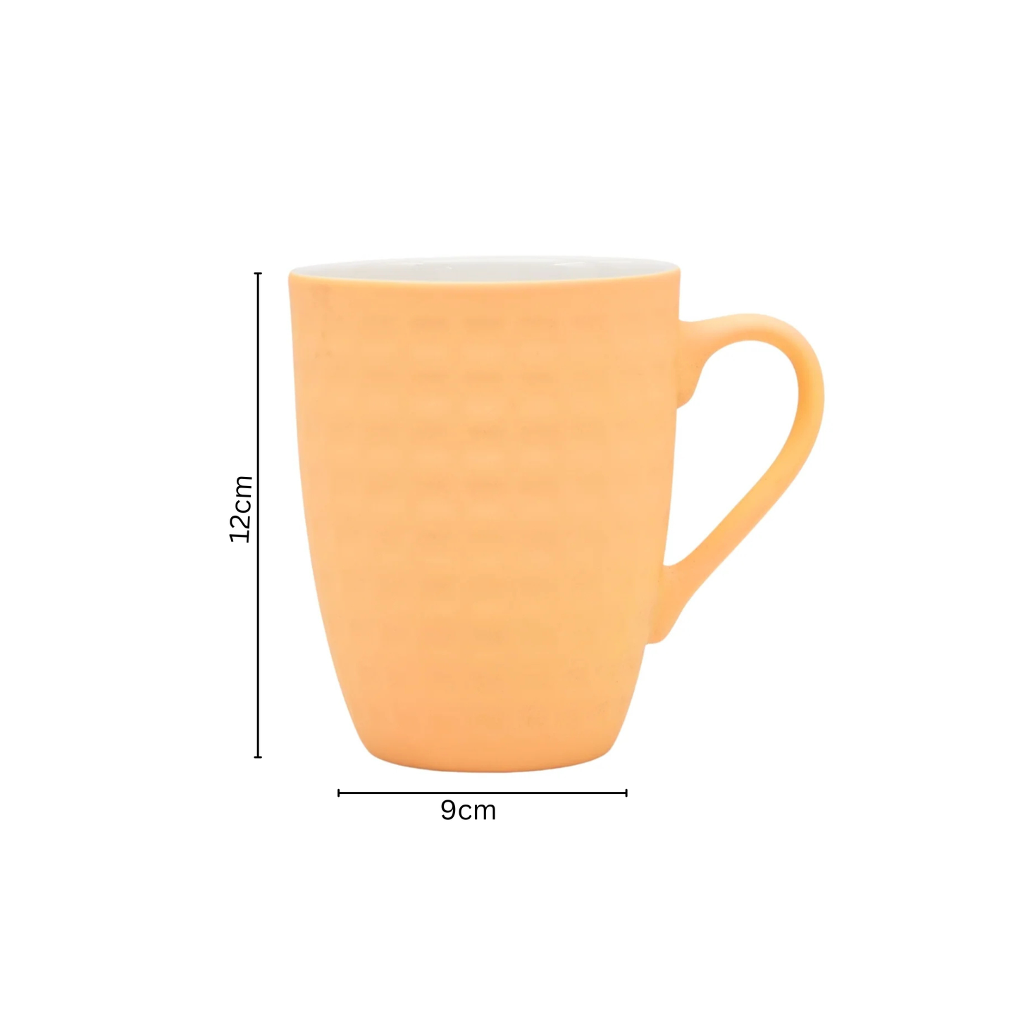 Premium Multi-Variant Drinkware