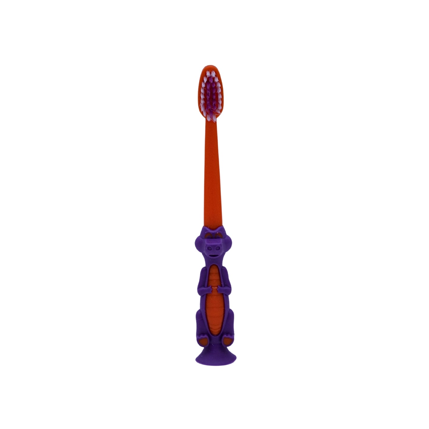 Toothbrush with case ( set of 4 )