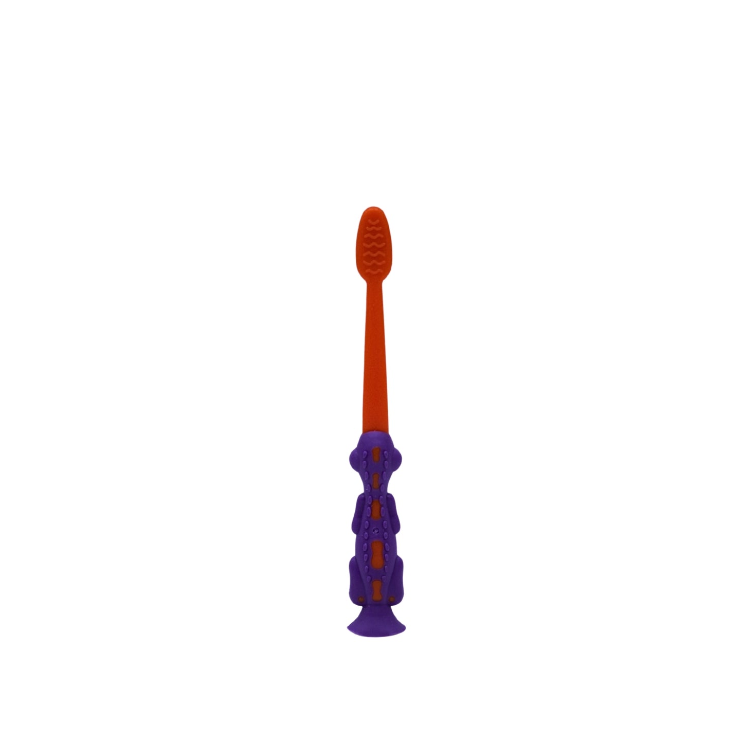 Toothbrush with case ( set of 4 )