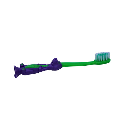 Toothbrush with case ( set of 4 )