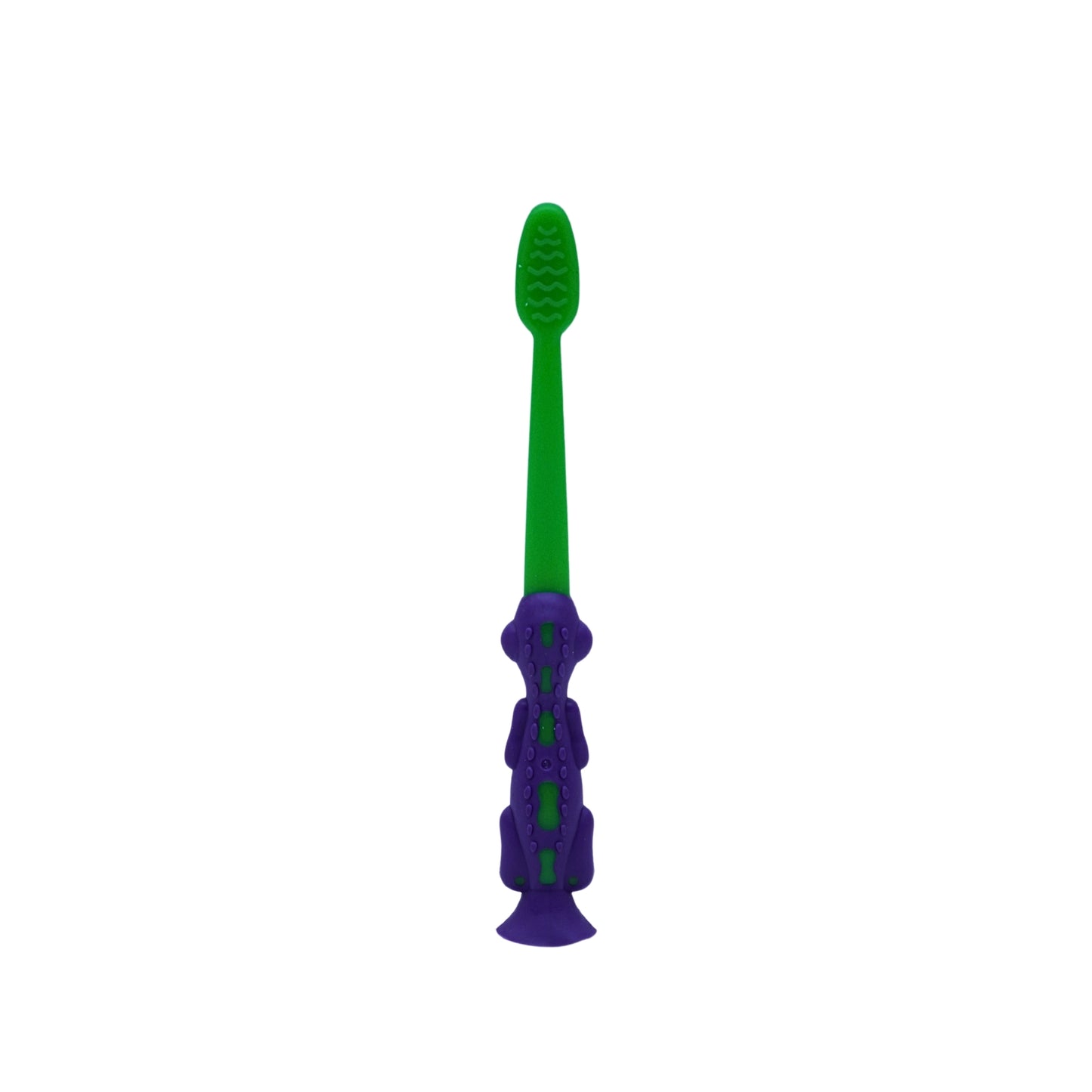 Toothbrush with case ( set of 4 )