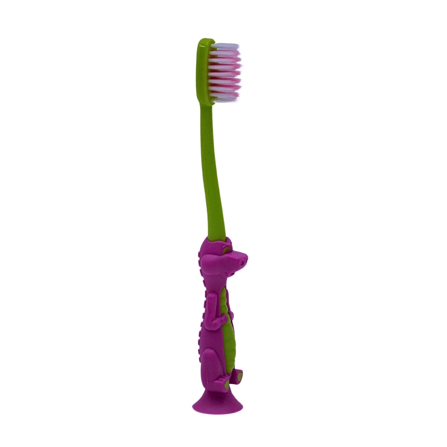 Toothbrush with case ( set of 4 )