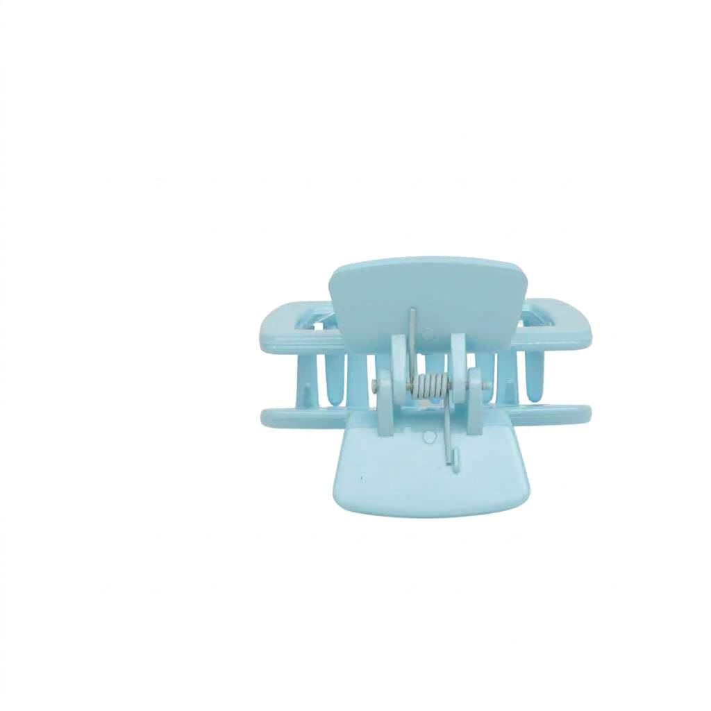 Fashionable Daily Use clutcher & Clips For Girls ( set of 6 )