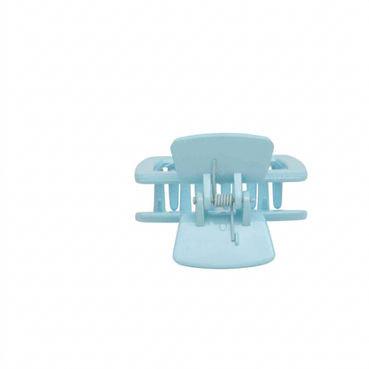 Fashionable Daily Use clutcher & Clips For Girls ( set of 6 )