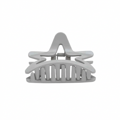 Fashionable Daily Use clutcher & Clips For Girls ( set of 6 )