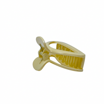 Fashionable Daily Use clutcher & Clips For Girls ( set of 6 )