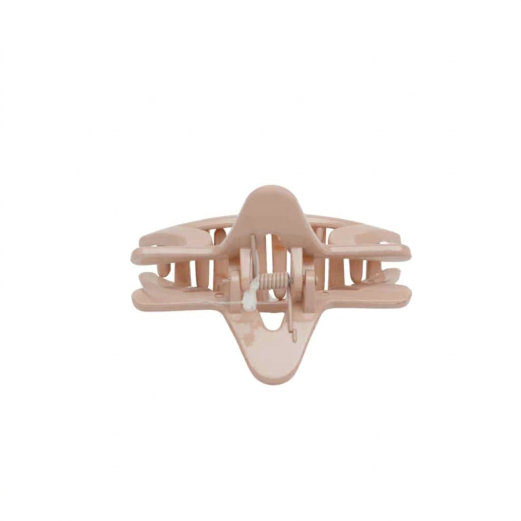 Fashionable Daily Use clutcher & Clips For Girls ( set of 6 )
