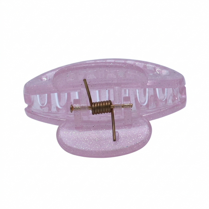 Fashionable Daily Use clutcher & Clips For Girls ( set of 6 )